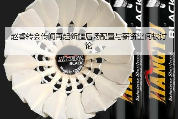 赵睿转会传闻再起新疆后场配置与薪资空间被讨论