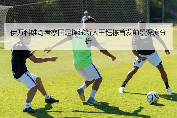 伊万科维奇考察国足锋线新人王钰栋首发前景深度分析