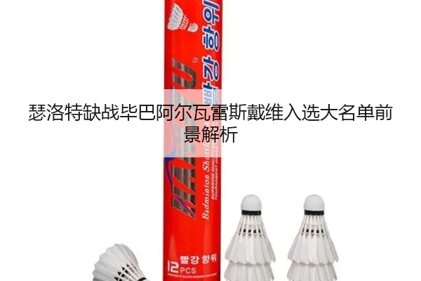 瑟洛特缺战毕巴阿尔瓦雷斯戴维入选大名单前景解析